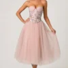Cindy Tulle Corset Midaxi-jurk in Dusty Rose